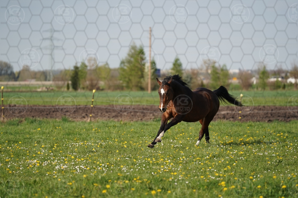 s_A9_09633.jpg